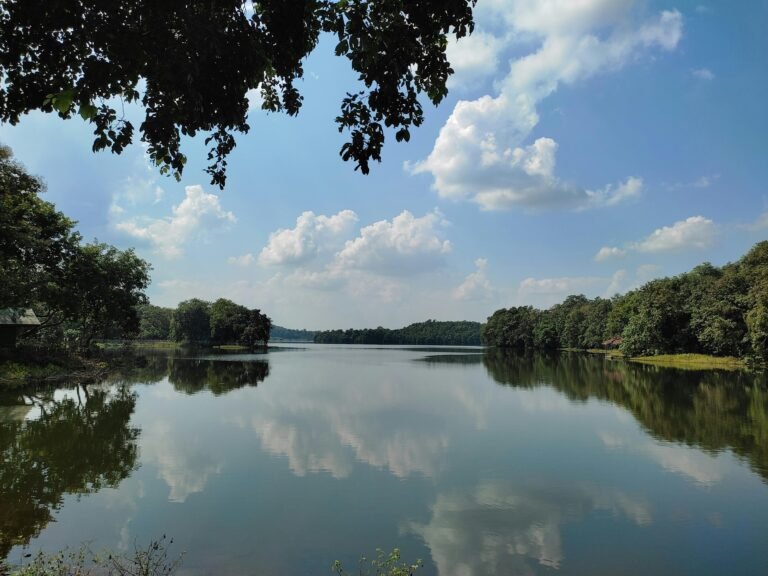 Tranquil lakeside scene with blue sky and clouds reflected in the calm water.