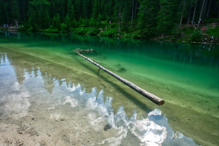 Tranquil scene of a clear alpine lake with a fallen log and lush green forest reflections.